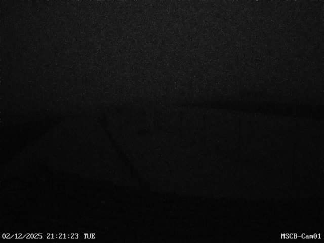 MSCB Cam01 01